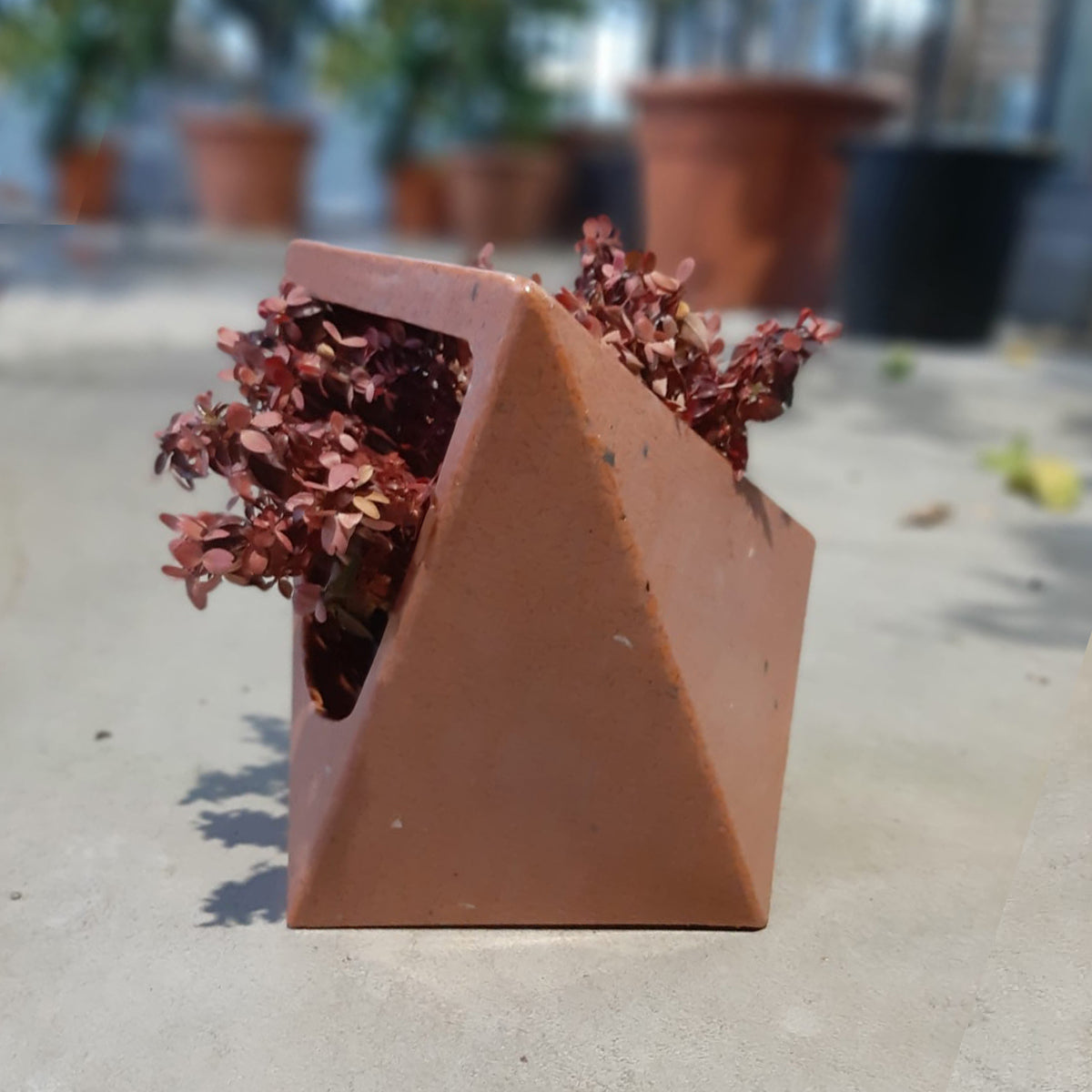 CARRIER Terracota
