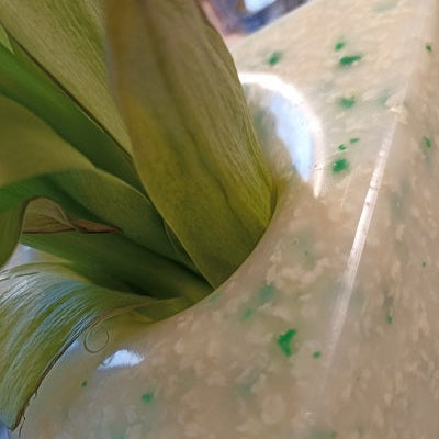 DELTA Flower Vase