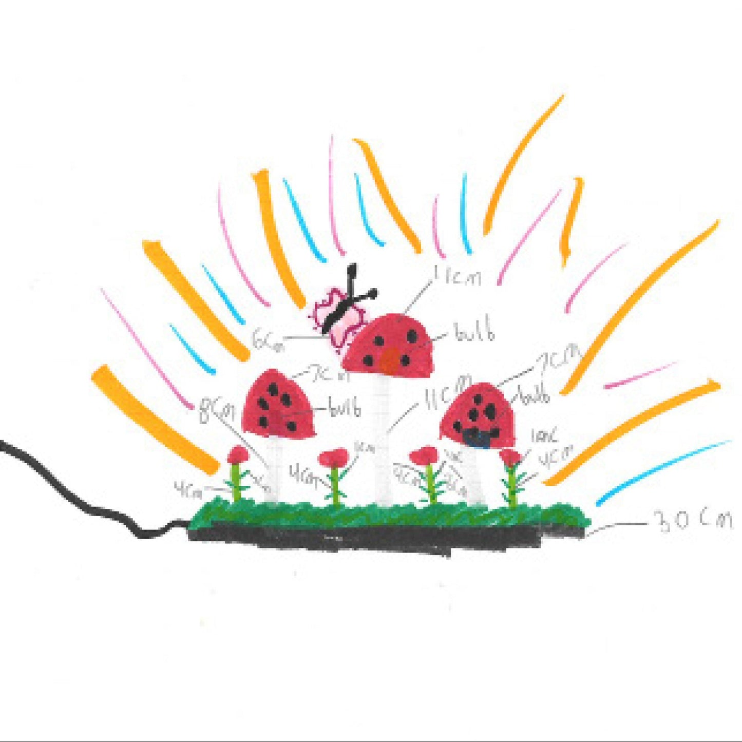Mushroom by Valeria (no Light)